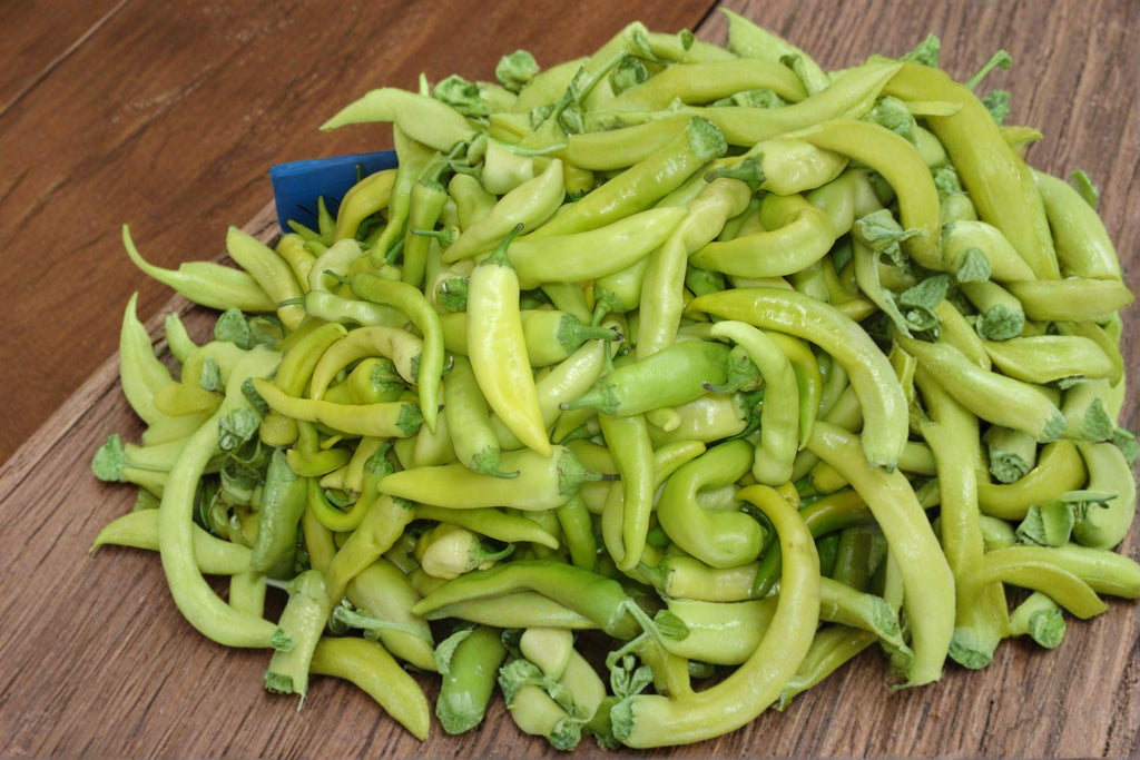 Sweet Pepper – Banana 30 Seeds | Mild Sweet Pepper | Pale Yellow Fruits | Great for Fresh Eating & Pickling