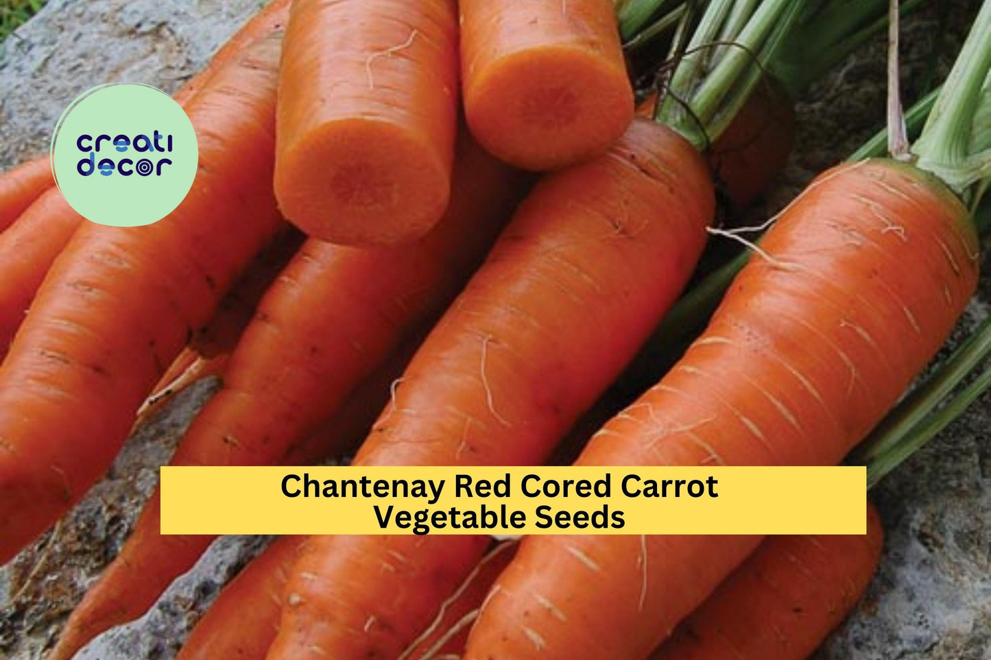 3pcs x 1g Chantenay Red Cored Carrot Seeds – Sweet Heirloom Root Vegetable for Raised Beds, Rows, or Containers Seeds for Planting