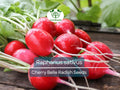 80 Seeds Radish Cherry Belle – Raphanus sativus | Fast-Growing Heirloom Radish Seeds for Planting, Gardening & Crisp Red Harvests
