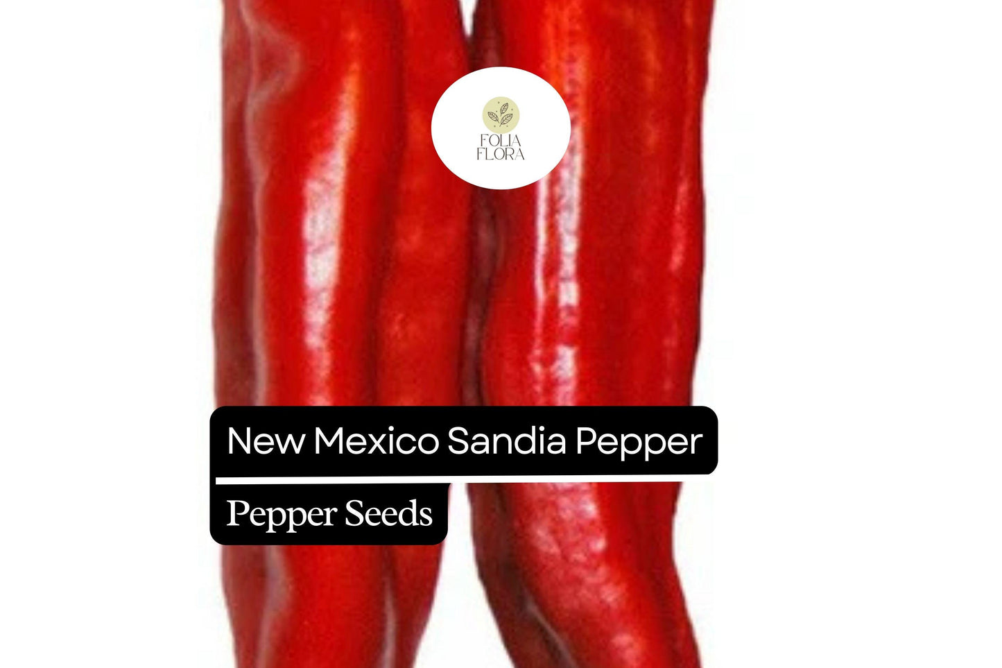 25 New Mexico Sandia Pepper Seeds – Capsicum annuum – Mild to Medium Heat, Heirloom Chili, Non-GMO, Perfect for Roasting & Drying