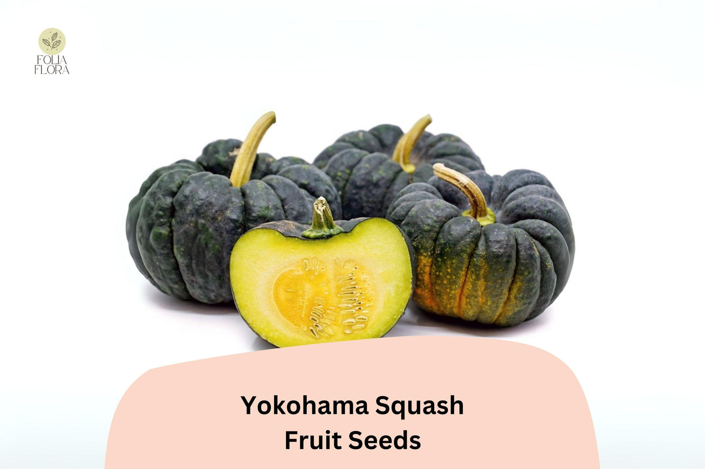 25+ Yokohama Squash Seeds | Rare Japanese Heirloom Winter Squash | Sweet, Rich Orange Flesh & Unique Ribbed Shape
