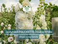 50 Seeds Hollyhock MAJORETTE Double White, Alcea rosea, Dwarf Biennial Non-GMO, Memory Garden Flowers, Elegant White Blooms for Garden