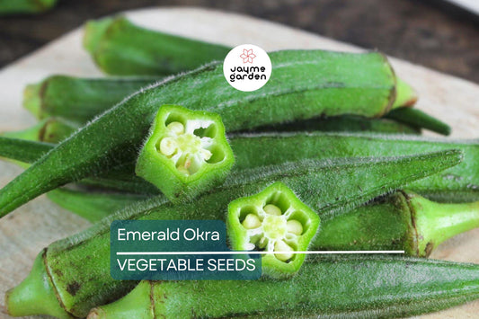 100 Emerald Okra Seeds – Heirloom, Non-GMO, Tender Green Pods, Fast-Growing, High-Yield, Drought-Tolerant, USA Seller, Free Shipping!