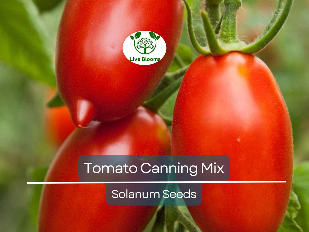 100 Tomato Seeds Mix - Heirloom Canning, Sauce & Paste Varieties | Indeterminate, Non-GMO, Lycopersicon esculentum, Garden Favorite