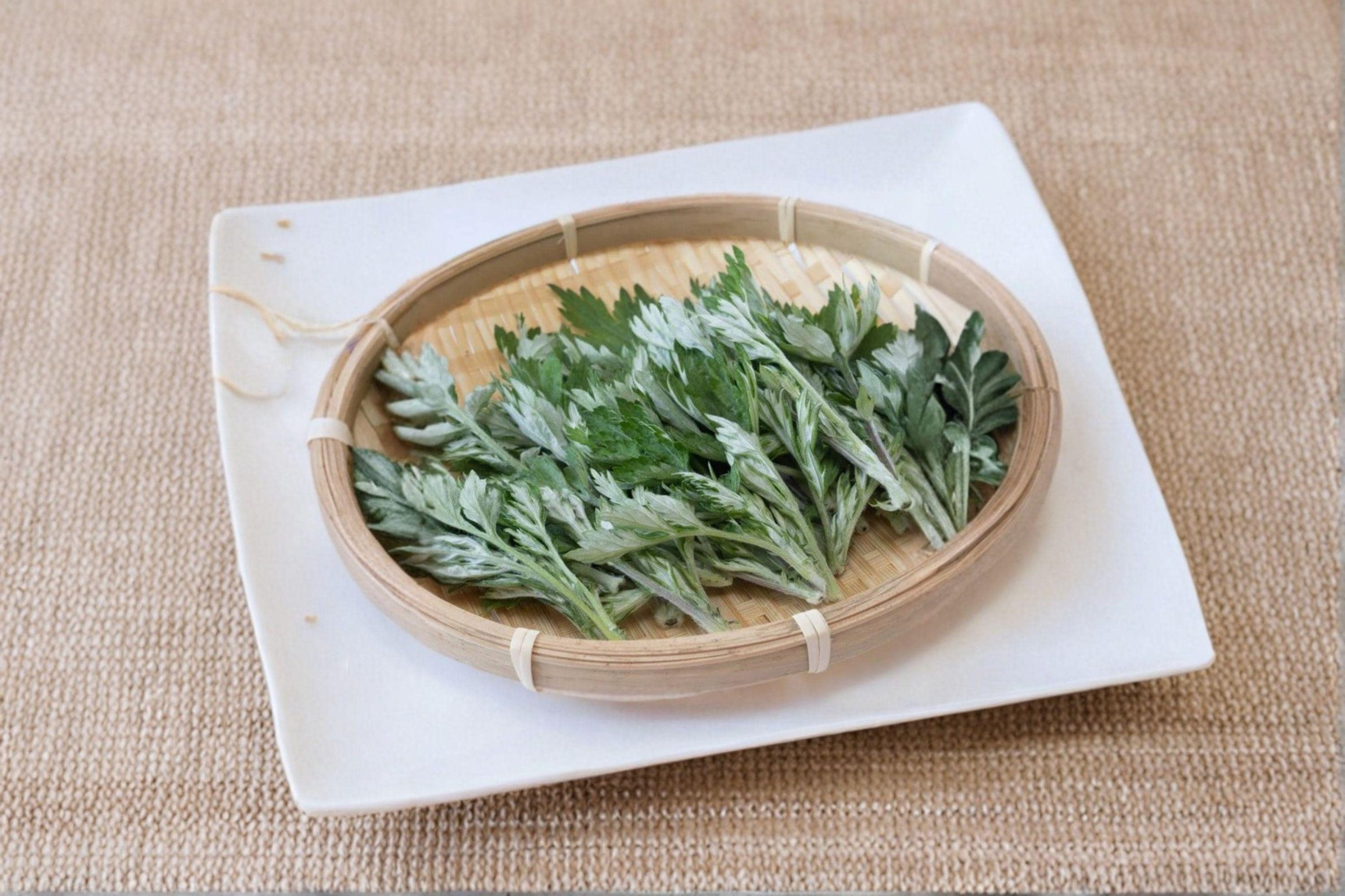 Japanese Mugwort – Yomogi Herb 30 Seeds | Traditional Asian Herb | Aromatic & Medicinal | Hardy Perennial