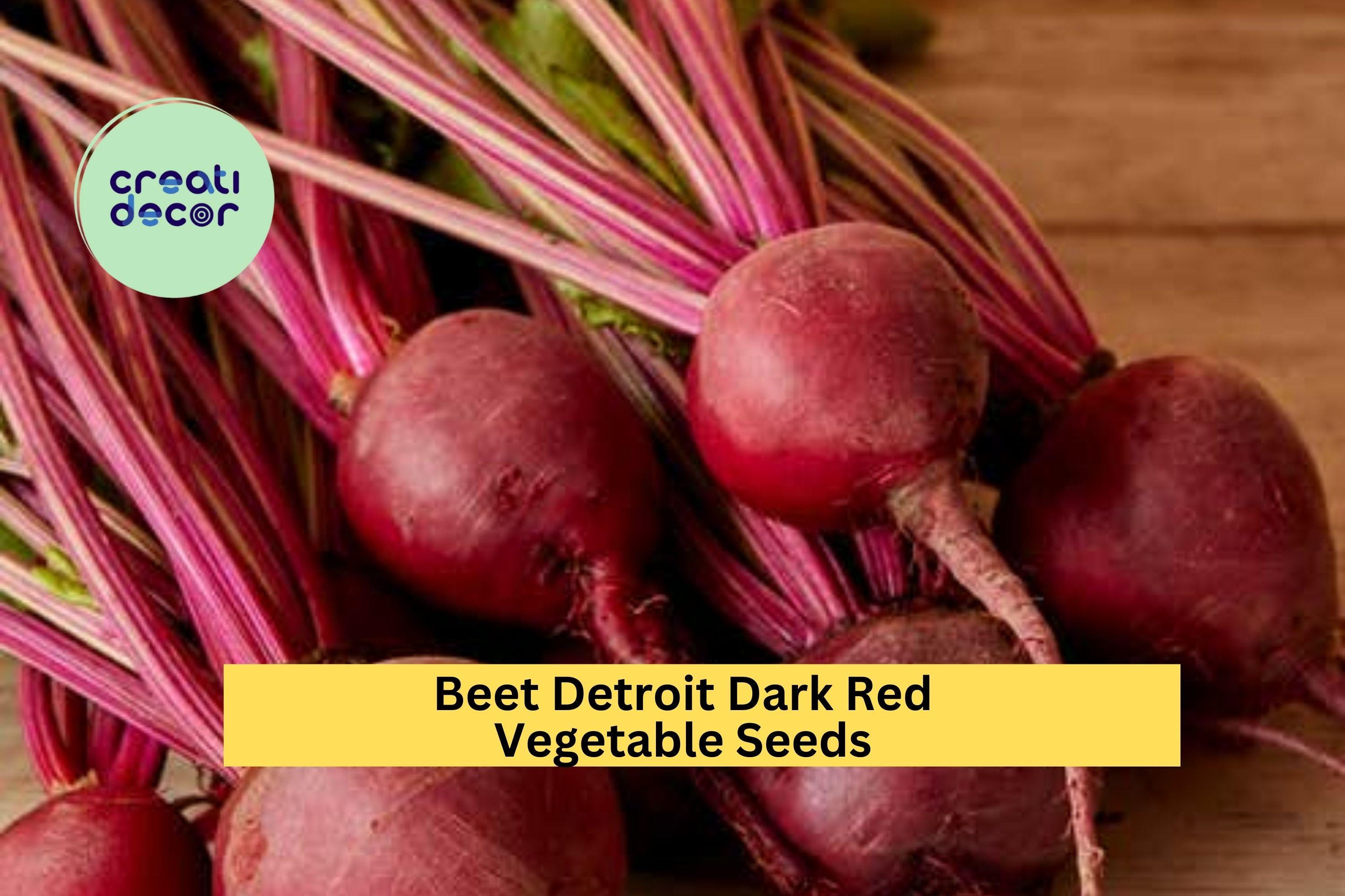 3pcs x 1g Beet Detroit Dark Red Seeds – Heirloom Beets for Garden Beds, Raised Rows, or Container Growing Seeds for Planting