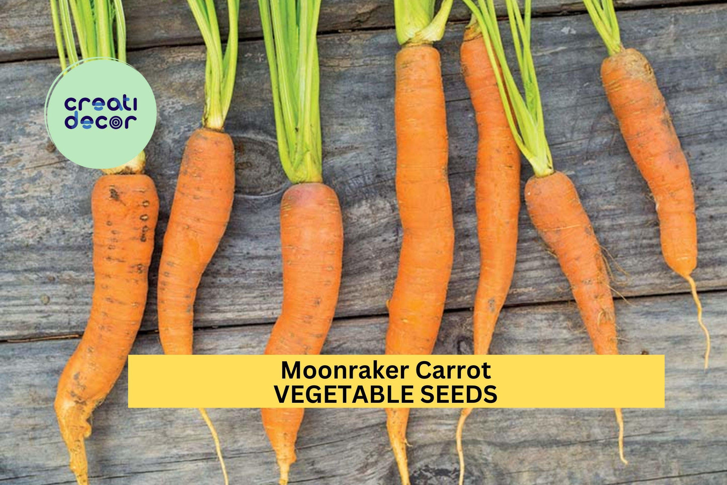 1000+ Moonraker Carrot Seeds – Tender White Roots for Garden Planting, Sweet Flavor & Smooth Texture, Ideal for Spring Crops – USA