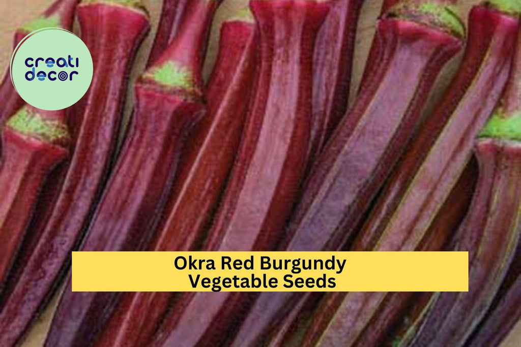 3pcs of 1g Red Burgundy Okra Seeds – Colorful Heirloom Variety for Garden Beds, Containers & Southern-Style Cooking
