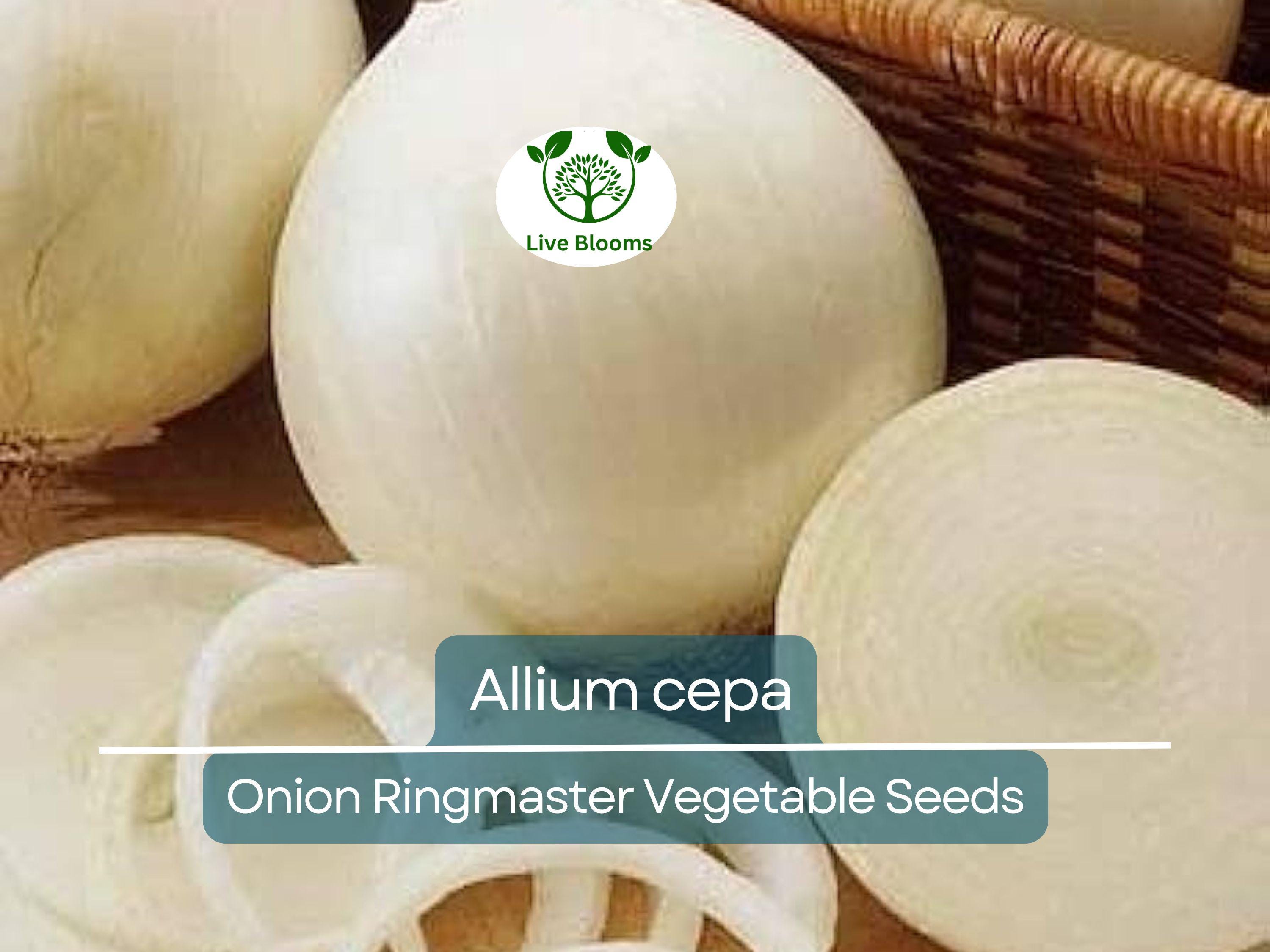 250 mg Seeds Onion Ringmaster – Allium cepa Heirloom Variety for Planting | Sweet, Mild, Perfect for Rings & Cooking