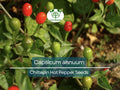30 Seeds Chiltepin Hot Pepper (Capsicum annuum) – Tiny, Fiery Pepper for Planting, Ideal for Hot Sauces, Salsas & Mexican Dishes
