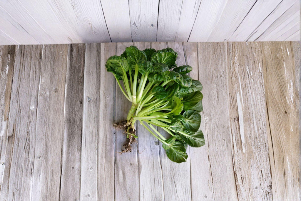 Pak Choi / Tatsoi 250 Seeds | Asian Leafy Green | Cold-Hardy | Fast-Growing Vegetable