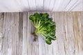 Pak Choi / Tatsoi 250 Seeds | Asian Leafy Green | Cold-Hardy | Fast-Growing Vegetable