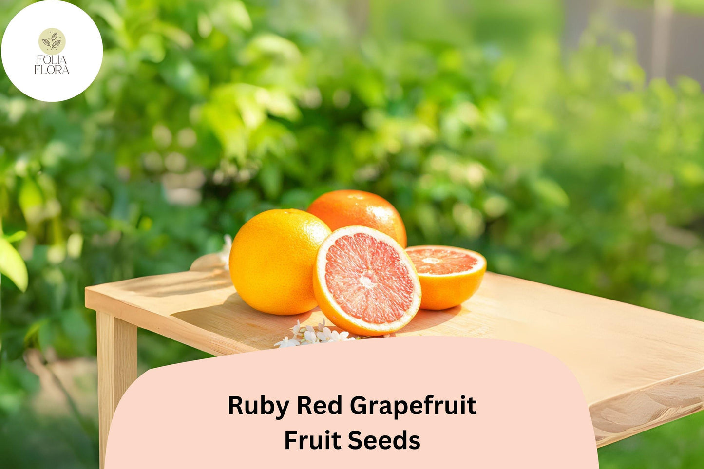 Ruby Red Grapefruit Seeds – 15 Citrus paradisi | Pink Grapefruit Tree Seeds