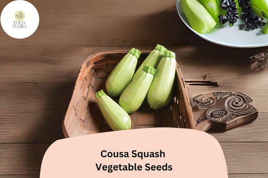 25+ Cousa Squash Seeds for Planting | Lebanese Summer Squash | Tender Heirloom Vegetable Garden Seeds