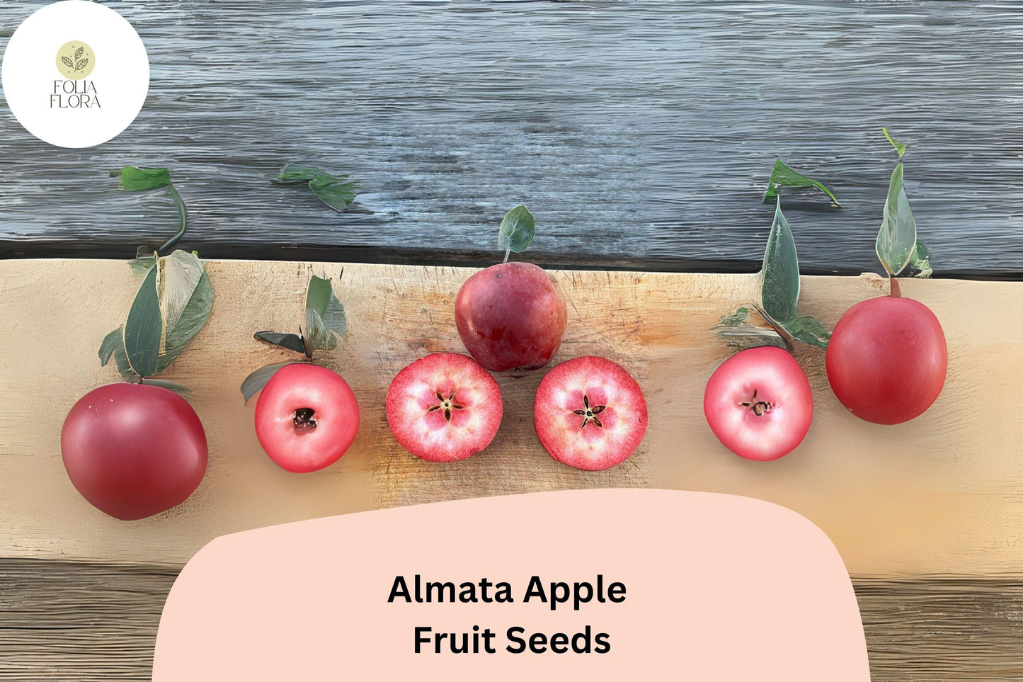 25+ Almata Apple Seeds | Rare Red-Flesh Apple | Malus domestica | Unique Tart Flavor | Fruit Tree Seeds for Garden Planting