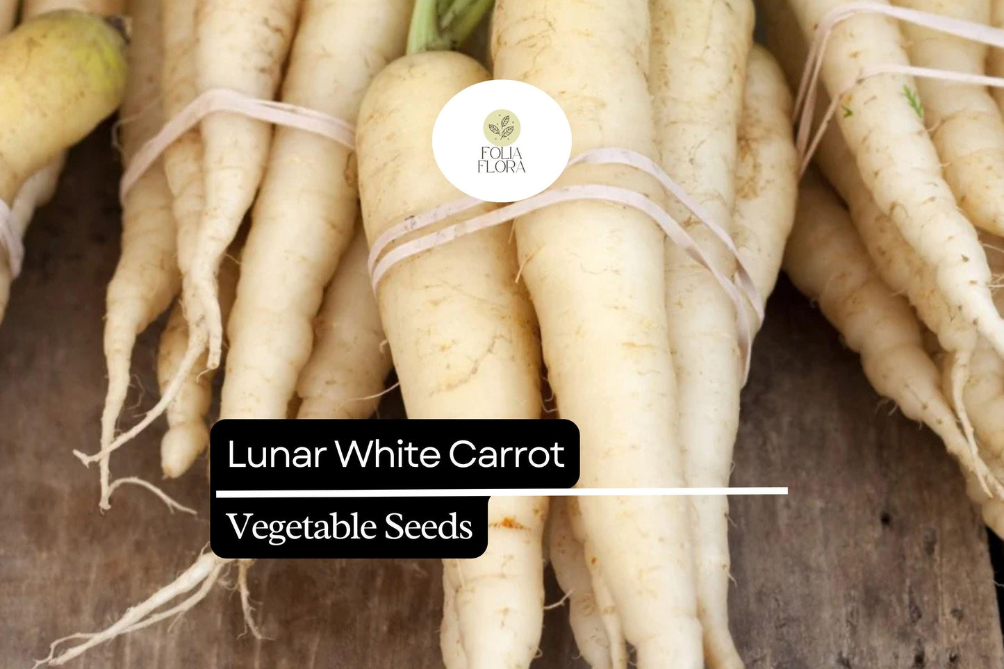 200 Seeds Lunar White Carrot (Daucus carota) – Unique Heirloom Carrot with Sweet, White Roots