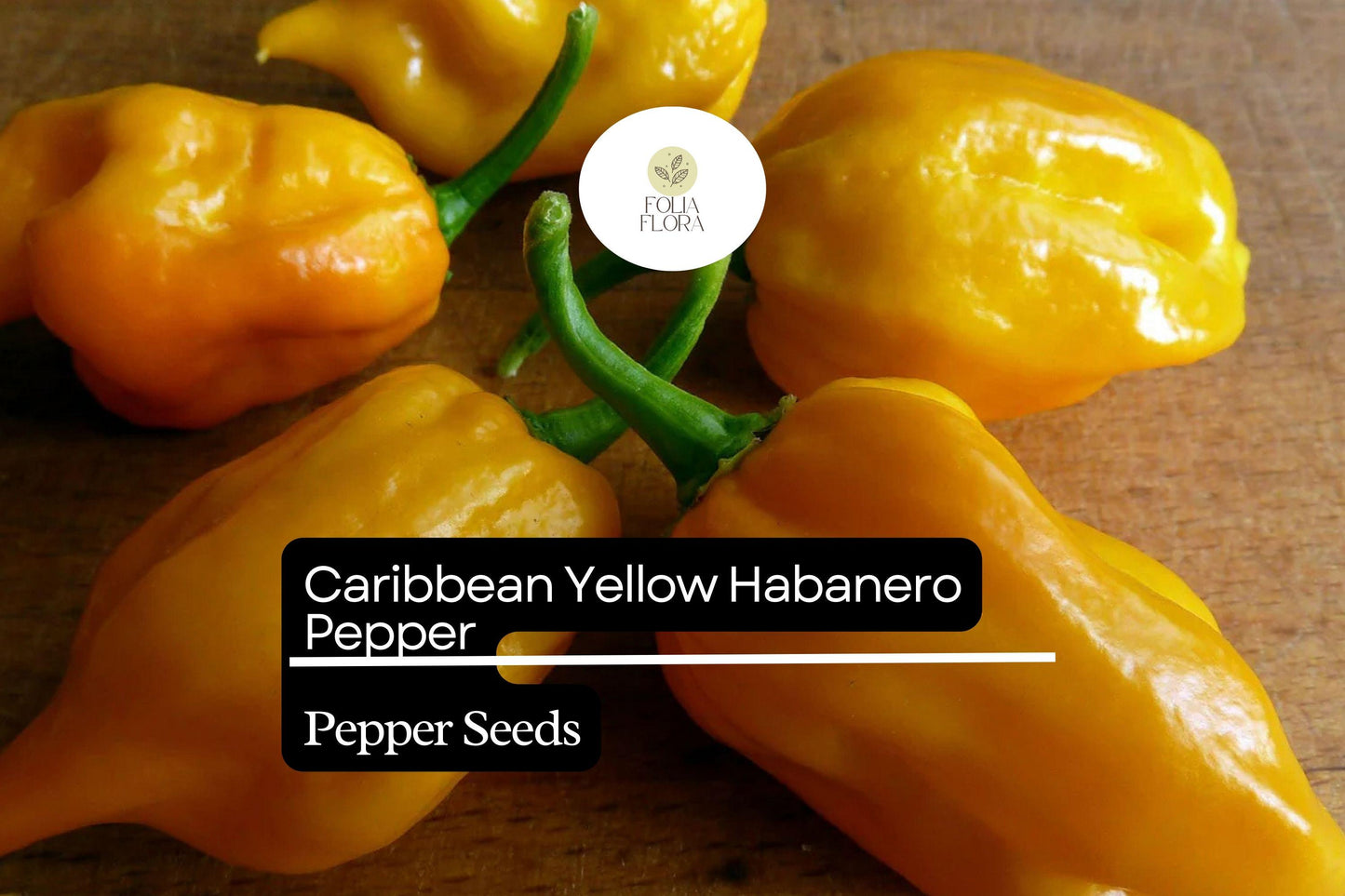 25 Caribbean Yellow Habanero Pepper Seeds – Capsicum chinense – Hot Chili, Heirloom, Non-GMO, 300,000+ Scoville