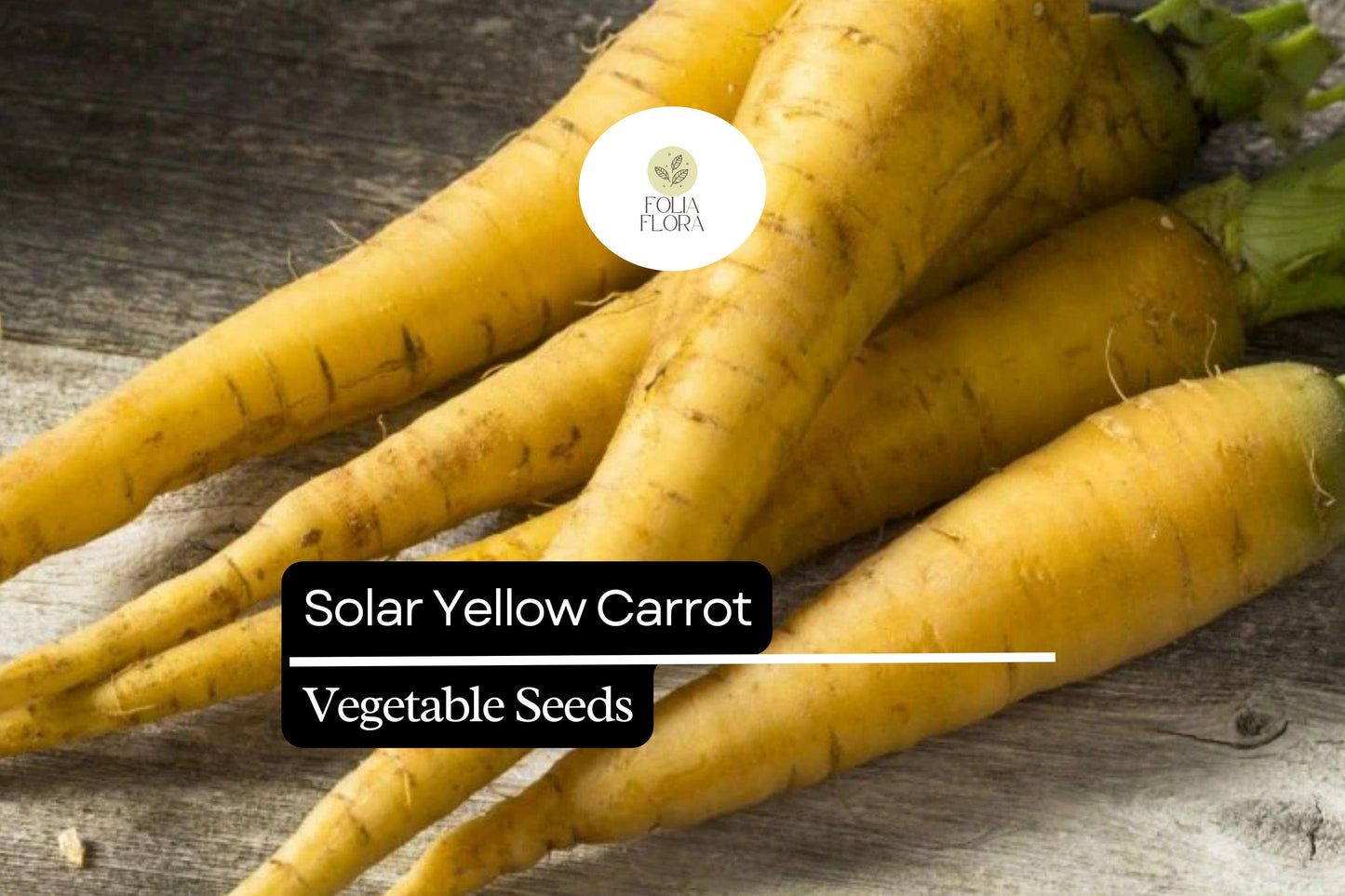 200 Seeds Solar Yellow Carrot (Daucus carota) – Vibrant Heirloom Variety for Sweet and Nutritious Roots