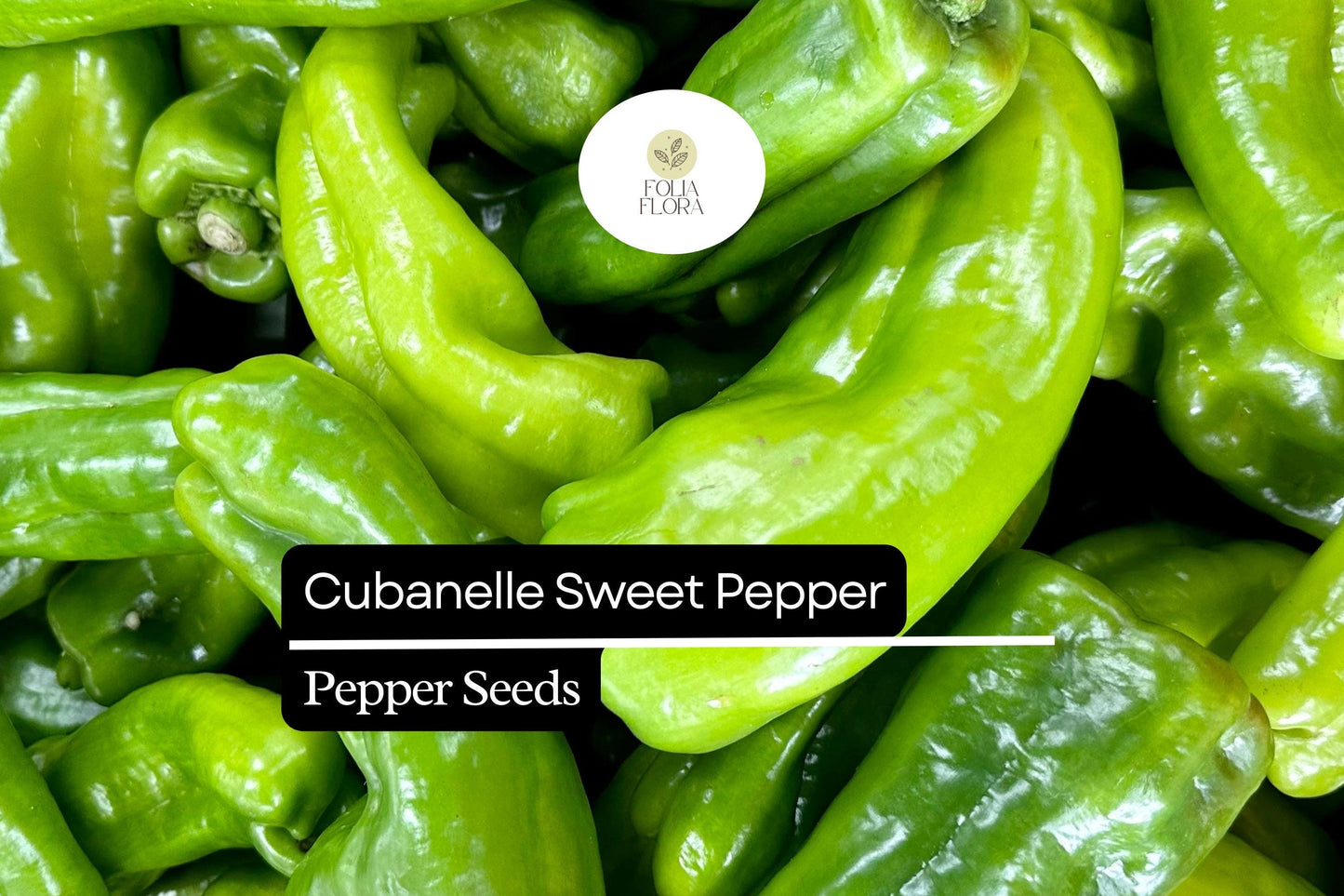 25 Cubanelle Sweet Pepper Seeds – Capsicum annuum – Mild, Crisp & Flavorful, High-Yielding, Great for Frying