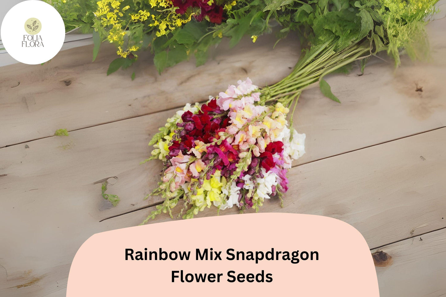 Antirrhinum majus Rainbow Mix Snapdragon Seeds – 1000+ Multicolor Blooms for Vibrant Garden & Cut Flowers