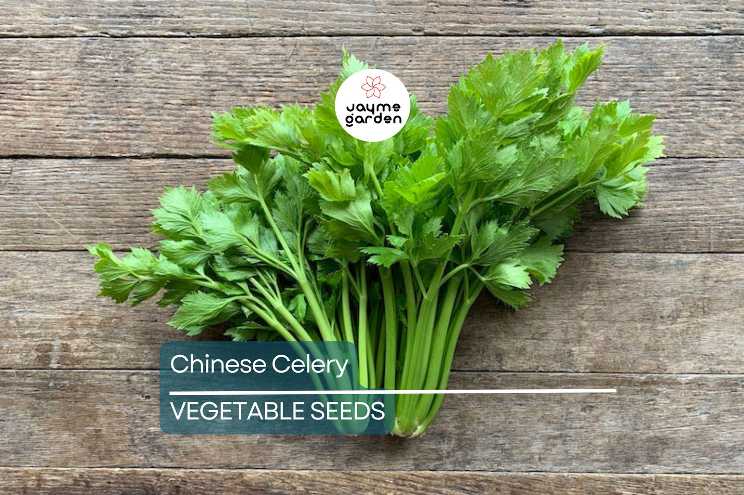 5,000 Chinese Celery Seeds – Heirloom, Non-GMO, Aromatic & Flavorful, USA Seller