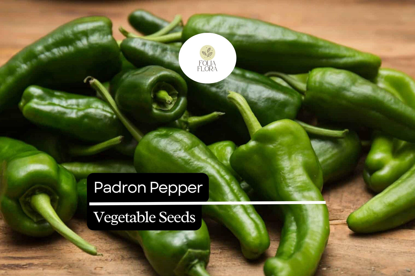 10 Seeds Padron Pepper (Capsicum annuum) – Mild, Flavorful Spanish Pepper