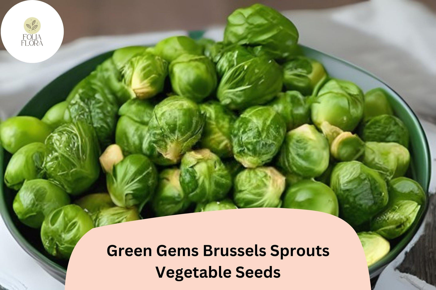 500+ Green Gems Brussels Sprouts Seeds | Brassica oleracea | Hybrid Sprout Variety | Bulk Garden Vegetable Seeds