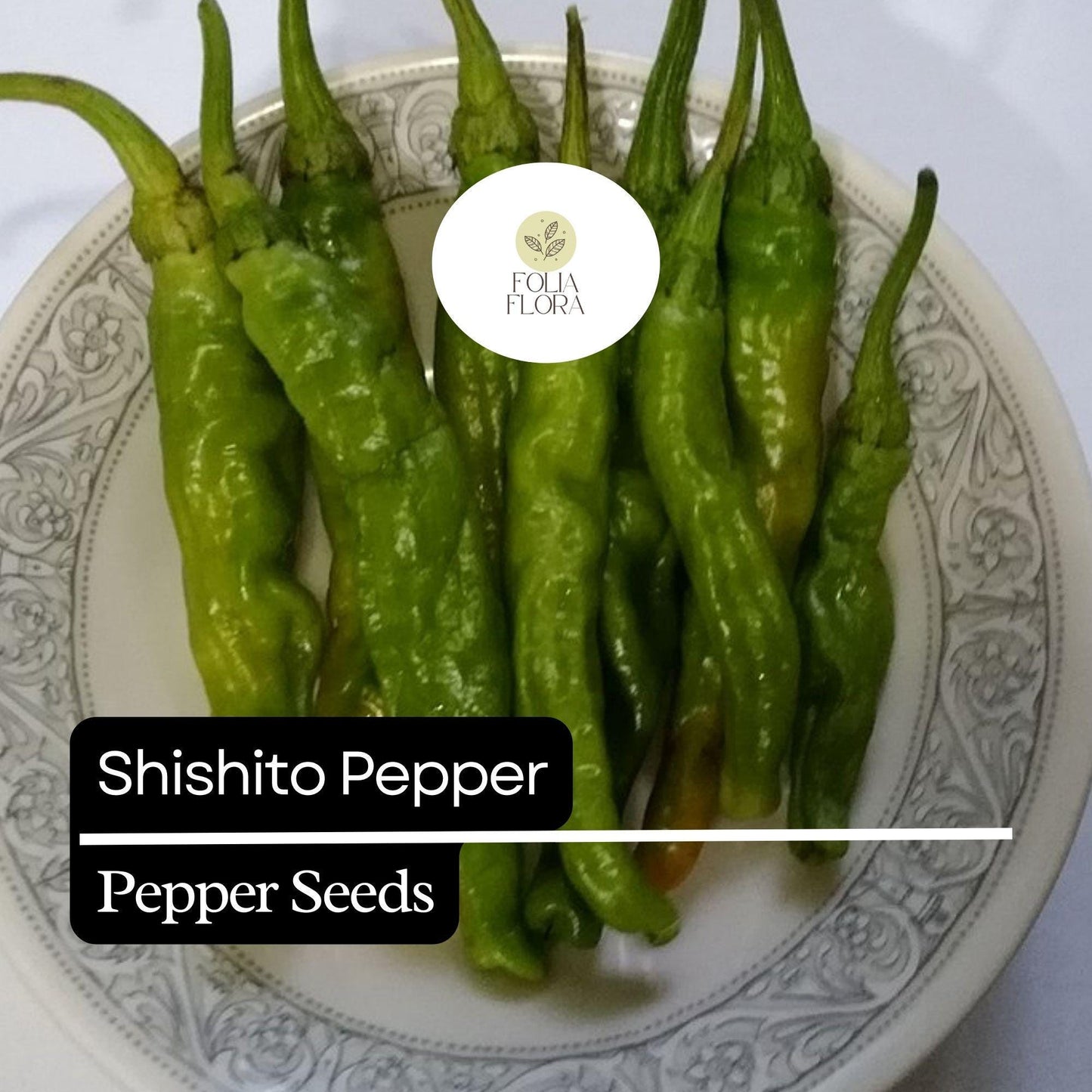 20 Shishito Pepper Seeds – Mild & Sweet – Heirloom, Non-GMO, Easy to Grow