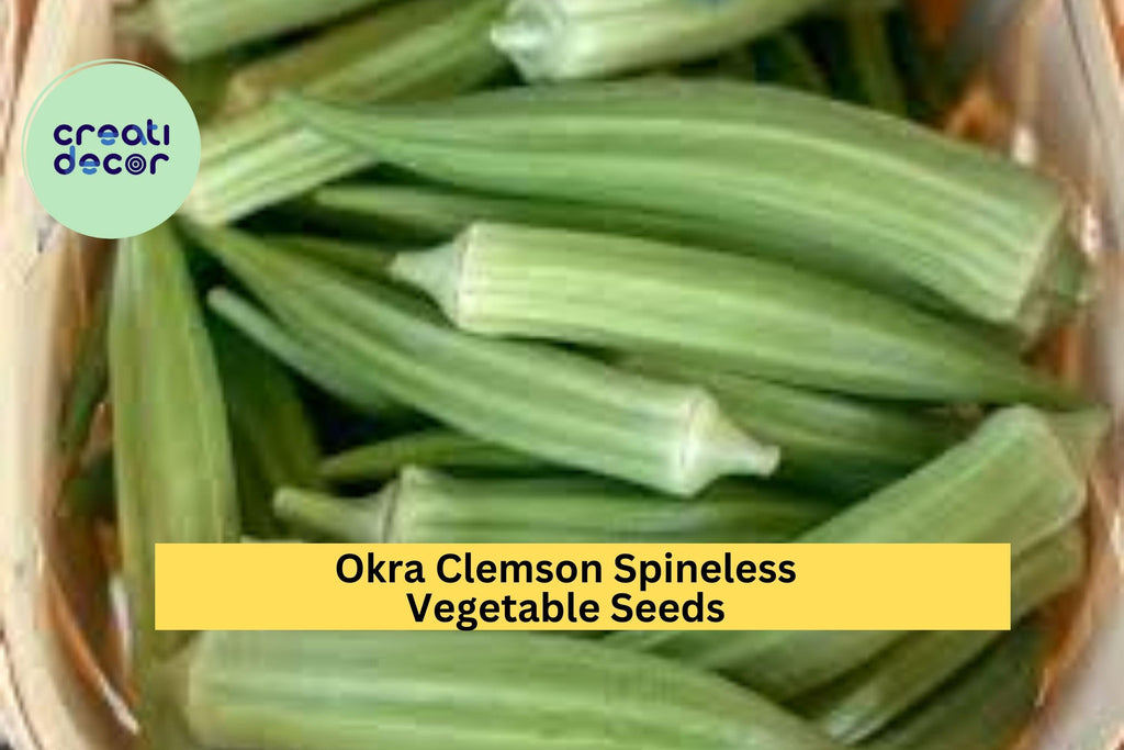 3pcs of 5g Clemson Spineless Okra Seeds – High-Yield, Tender Pods for Summer Gardens, Stir-Fries & Southern Cooking Seeds for Planting