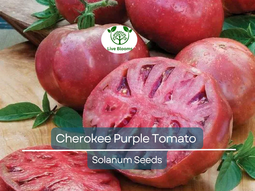 60 Cherokee Purple Tomato Seeds – Heirloom Beefsteak, Solanum lycopersicum, Non-GMO, Indeterminate, Rich Flavor, Garden Favorite