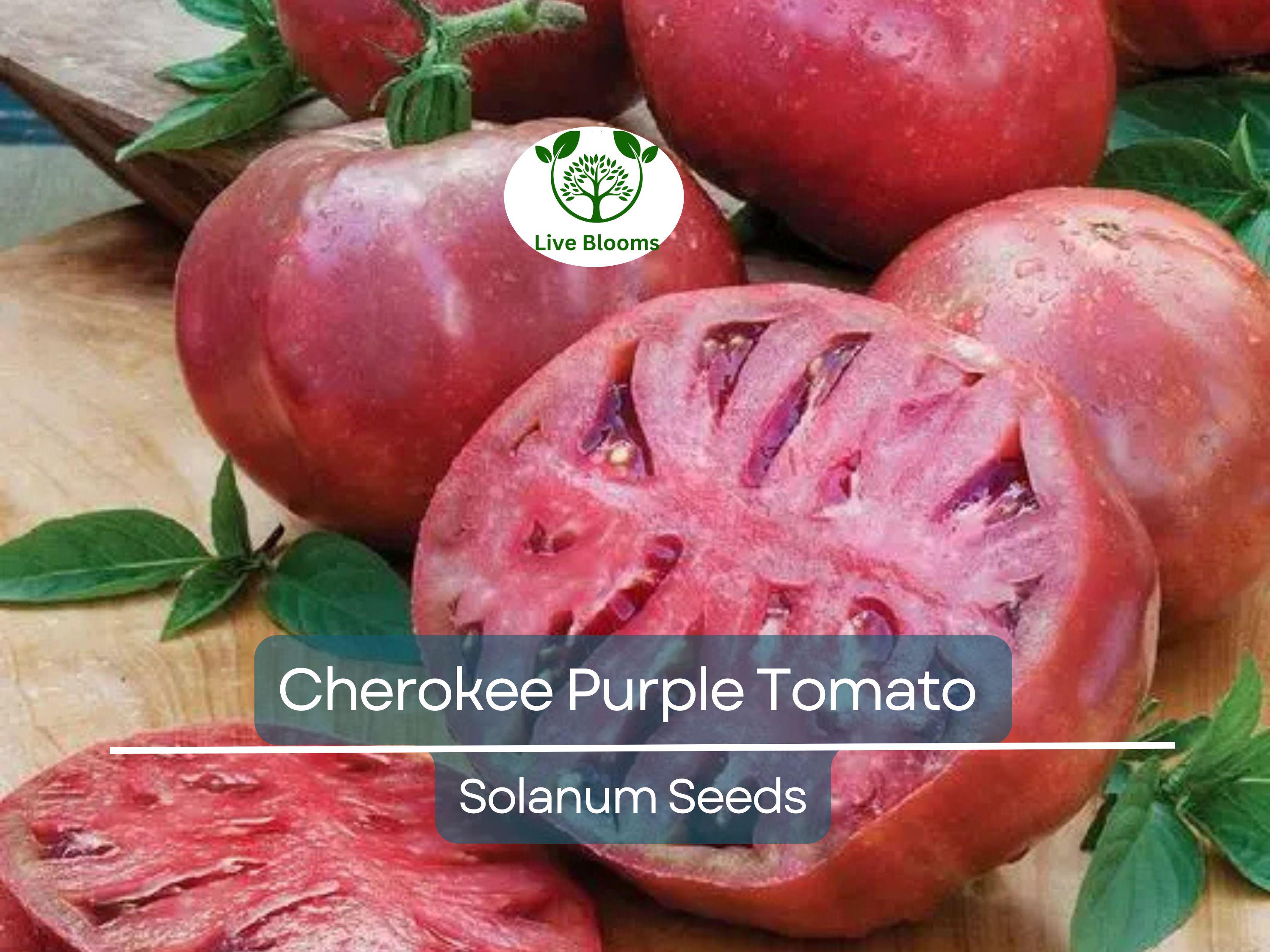 60 Cherokee Purple Tomato Seeds – Heirloom Beefsteak, Solanum lycopersicum, Non-GMO, Indeterminate, Rich Flavor, Garden Favorite