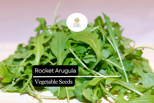 500 Rocket Arugula Seeds – Heirloom, Fast-Growing, Spicy & Nutty Greens, Non-GMO, Cool-Season Crop
