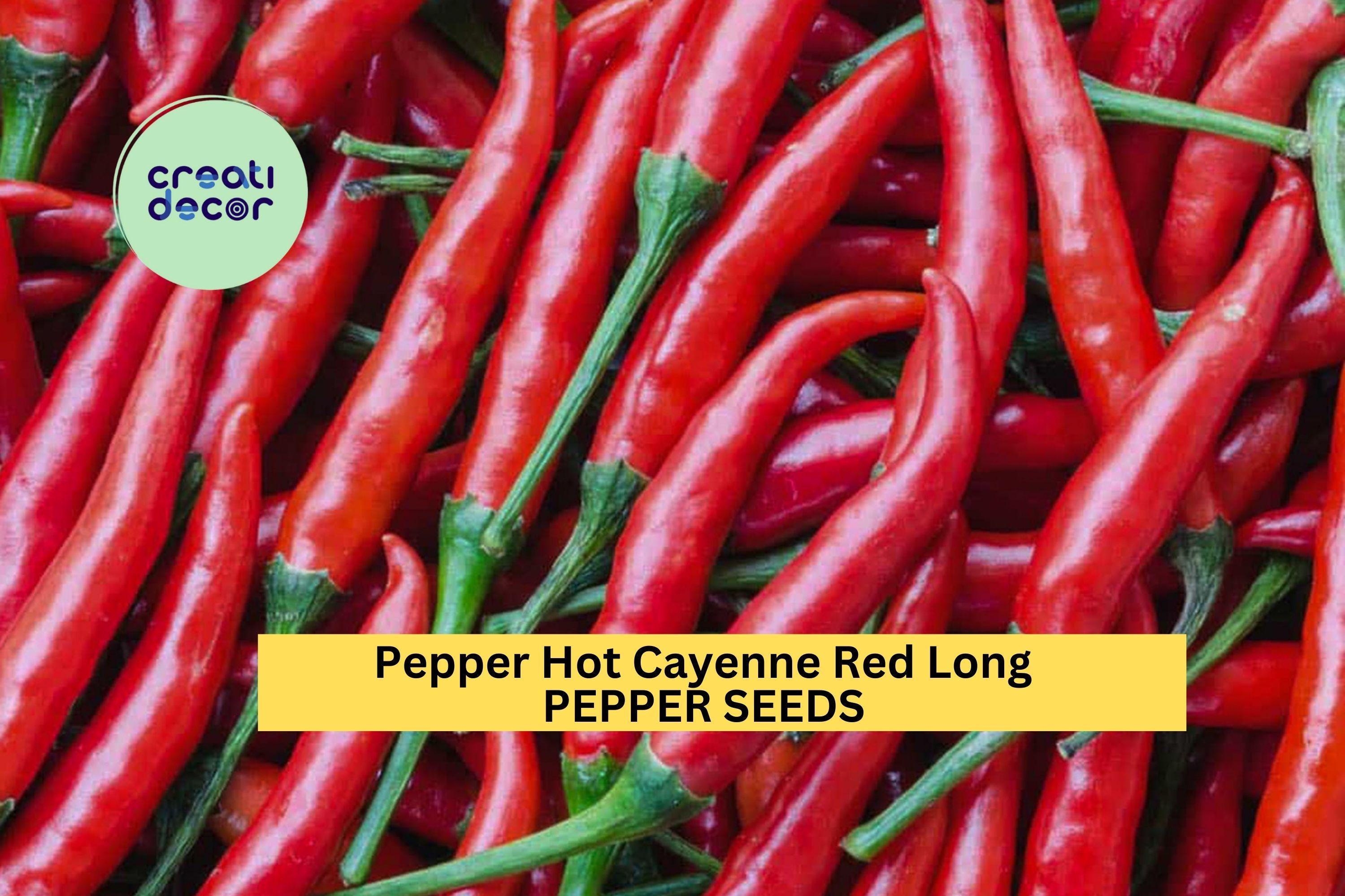 3pcs of 300mg Cayenne Red Long Hot Pepper Seeds – Spicy Heirloom Chili for Drying, Powder, and Garden Planting Seeds for Planting