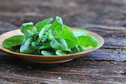 Spinach – New Zealand 100 Seeds | Heat-Tolerant Greens | Summer Spinach Alternative | Continuous Harvest