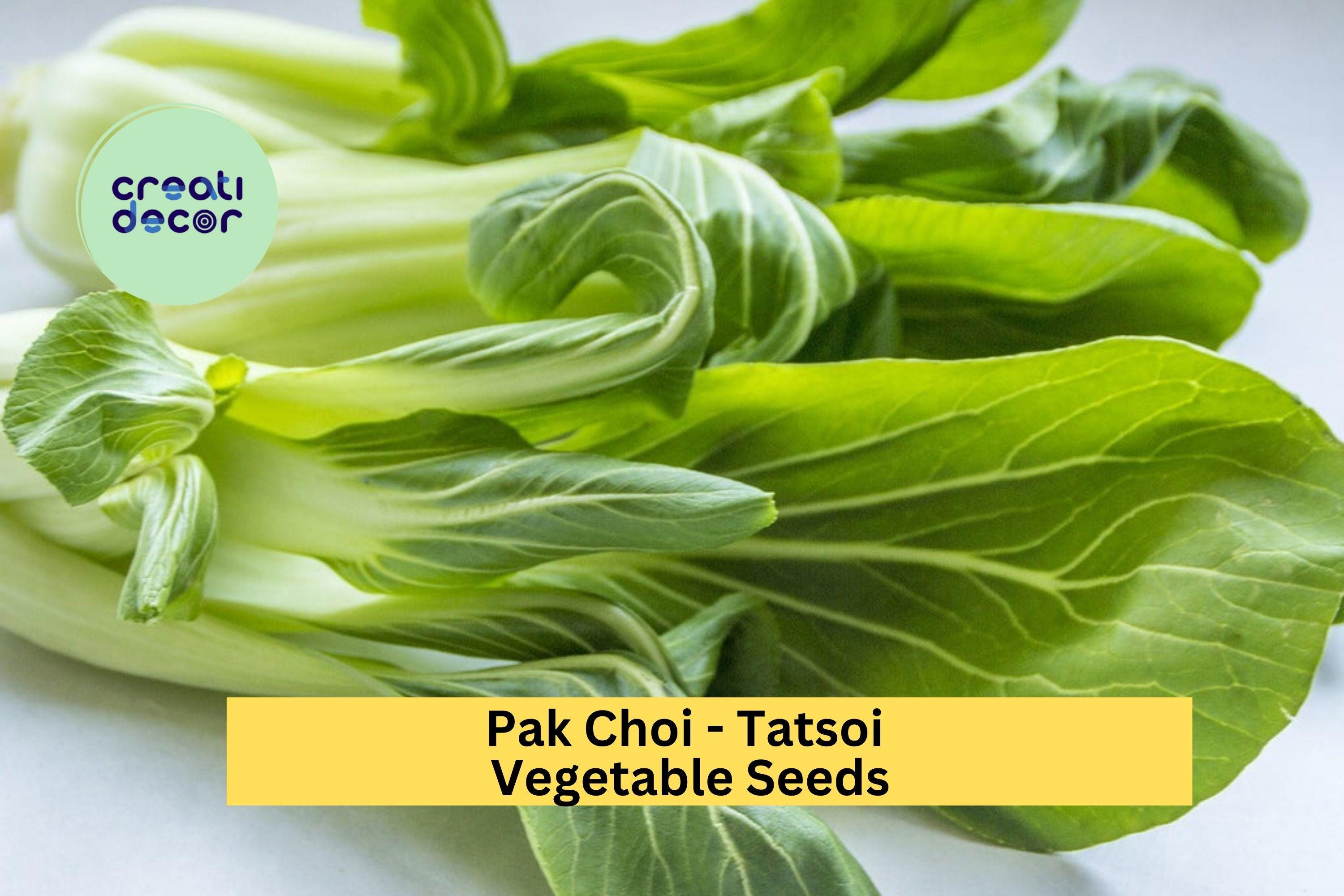 3pcs x 500mg Tatsoi Pak Choi Seeds – Asian Leafy Greens for Garden, Raised Beds, or Containers – Fast Growing Greens Seeds for Planting