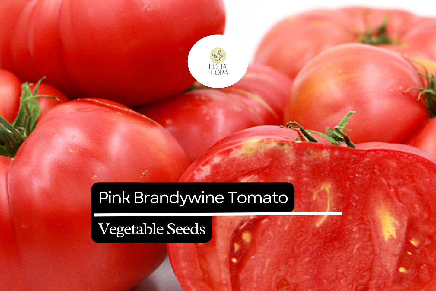 30 Seeds Pink Brandywine Tomato - Solanum lycopersicum | Heirloom, Juicy, and Flavorful Tomatoes