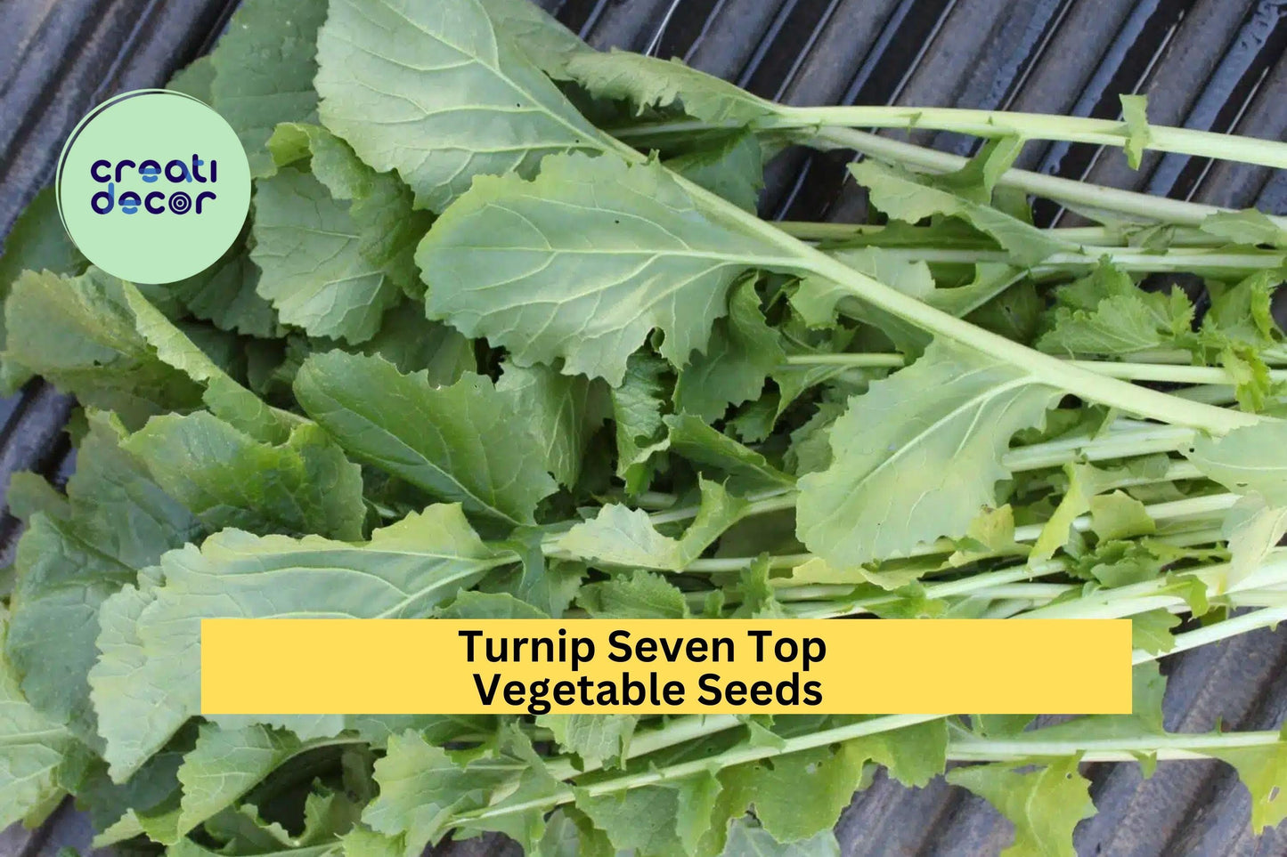 3pcs of 1g Seven Top Turnip Seeds – Fast-Growing Greens for Cooking, Smooth Leafy Tops, Great for Garden or Microgreens Seeds for Planting
