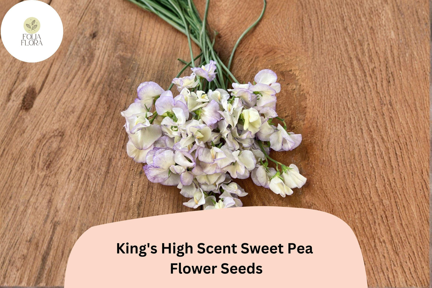 King’s High Scent Sweet Pea Seeds | Lathyrus odoratus Flowers Garden Planting (50+ Seeds)