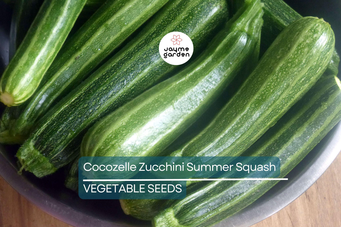 50 Cocozelle Zucchini Seeds – Heirloom Italian Summer Squash, Non-GMO, High-Yield, Tender & Flavorful, Easy to Grow, Free Shipping!