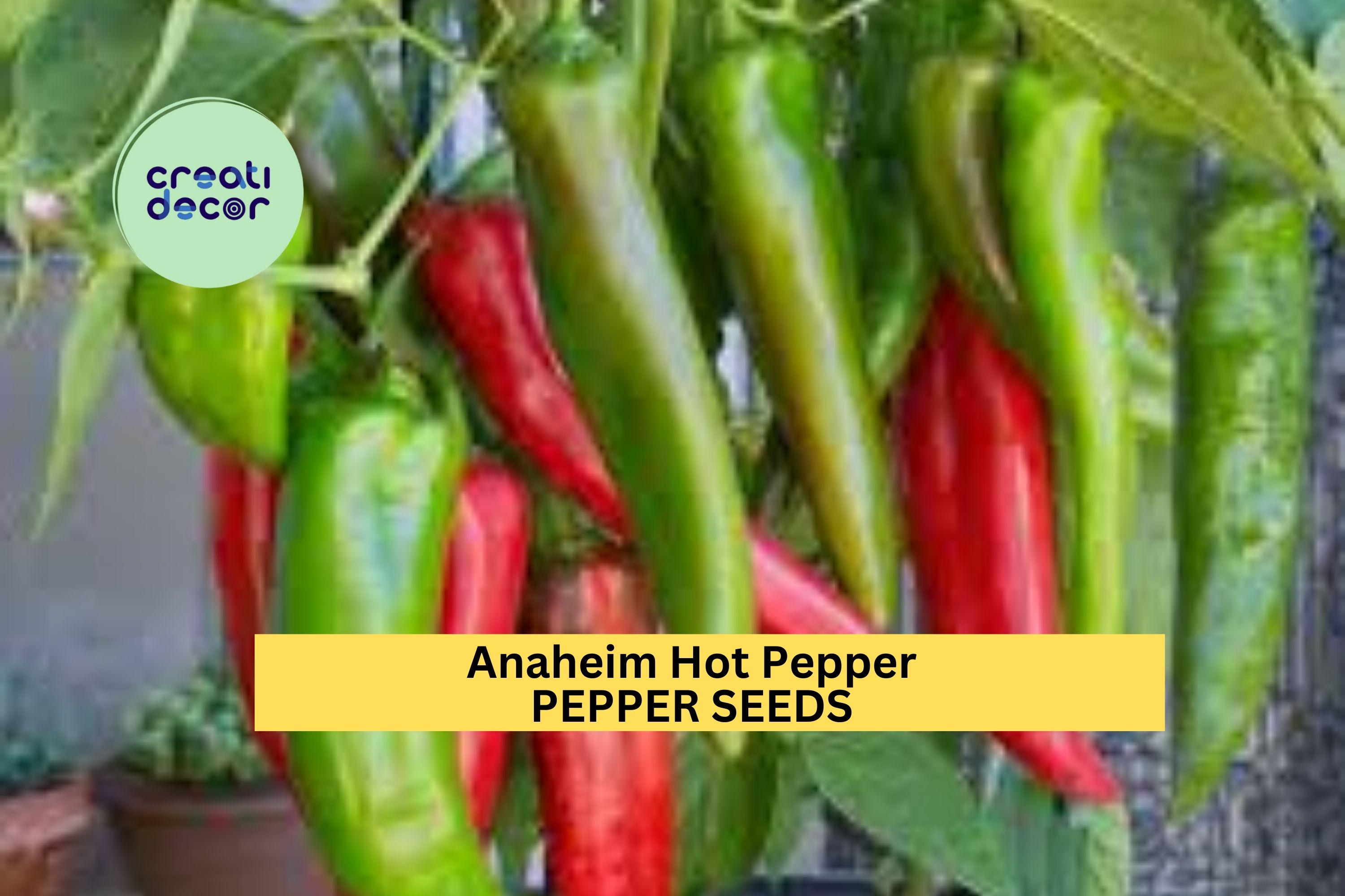 3pcs of 300mg Anaheim Hot Pepper Seeds – Mild Chili Peppers for Roasting, Salsa, and Home Vegetable Garden Growing Seeds for Planting