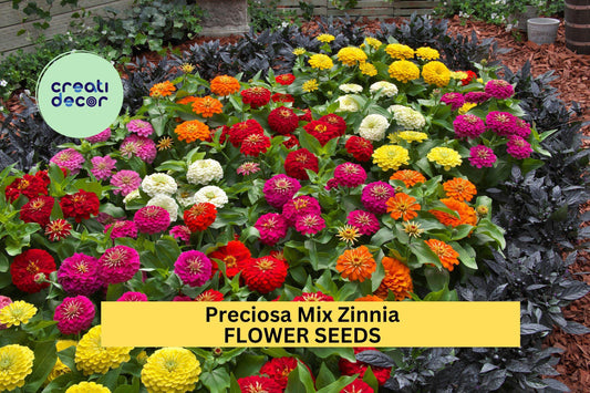 100+ Preciosa Mix Zinnia Seeds – Vibrant Mixed Blooms for Garden Planting, Compact & Long-Lasting Annuals for Beds , Containers – USA