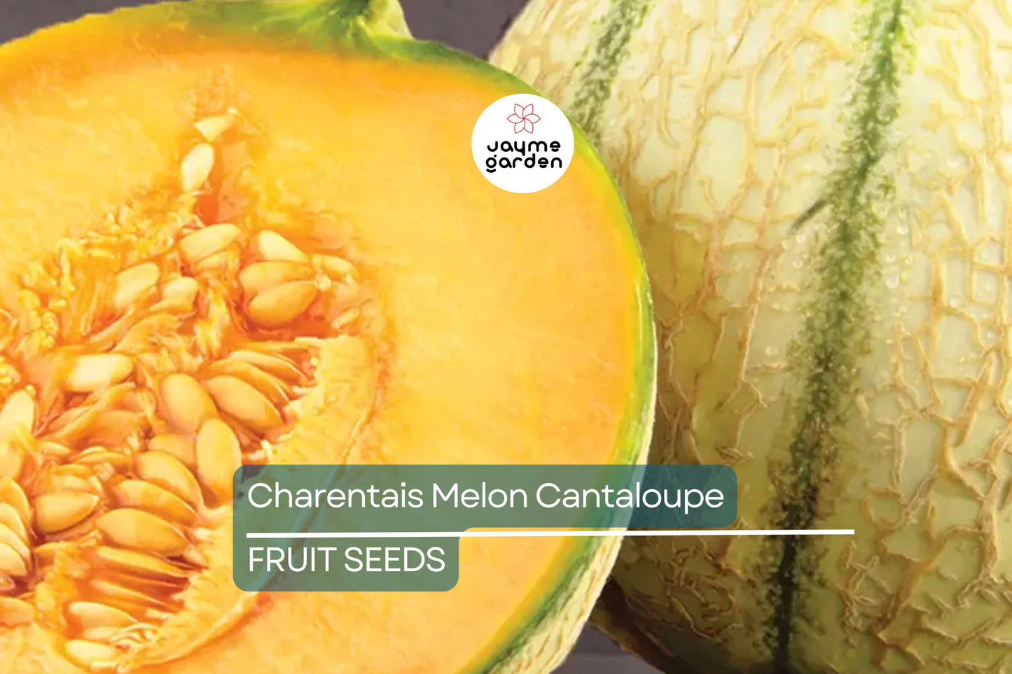 10 Charentais Melon Seeds - Heirloom French Cantaloupe - Organic - Non-GMO - Sweet & Fragrant - Rare Garden Fruit
