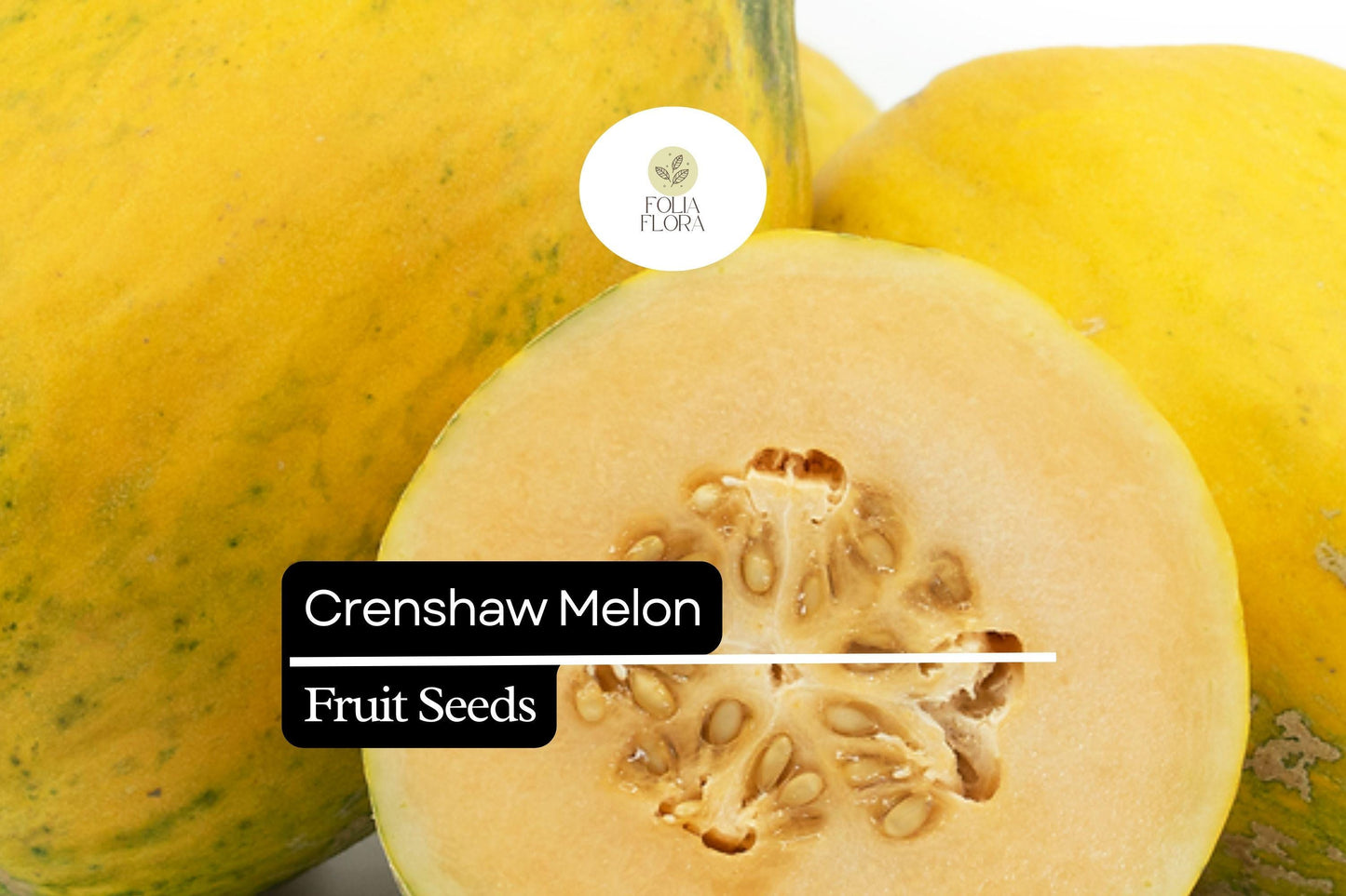 20 Seeds Crenshaw Melon (Cucumis melo) – Sweet, Juicy, Aromatic Melons for Home Gardens