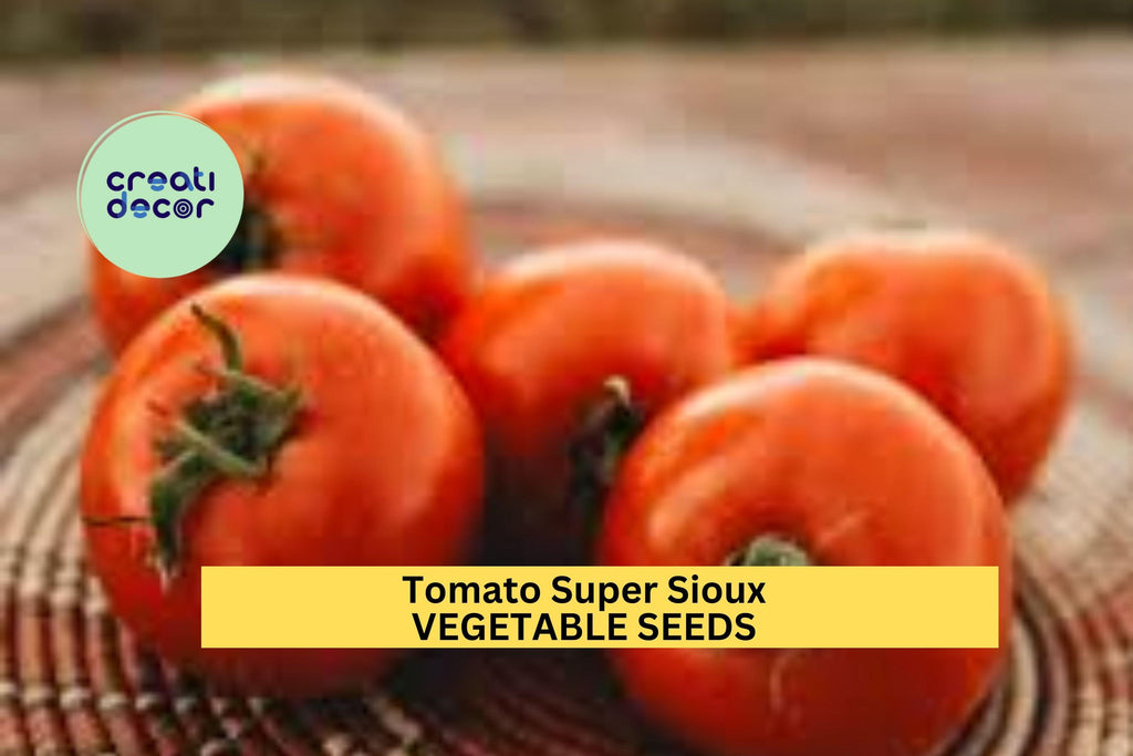 3pcs of 100mg Super Sioux Tomato Seeds – Heat‑Tolerant Heirloom for Hot Climates, Juicy Red Slicer & Container Gardens