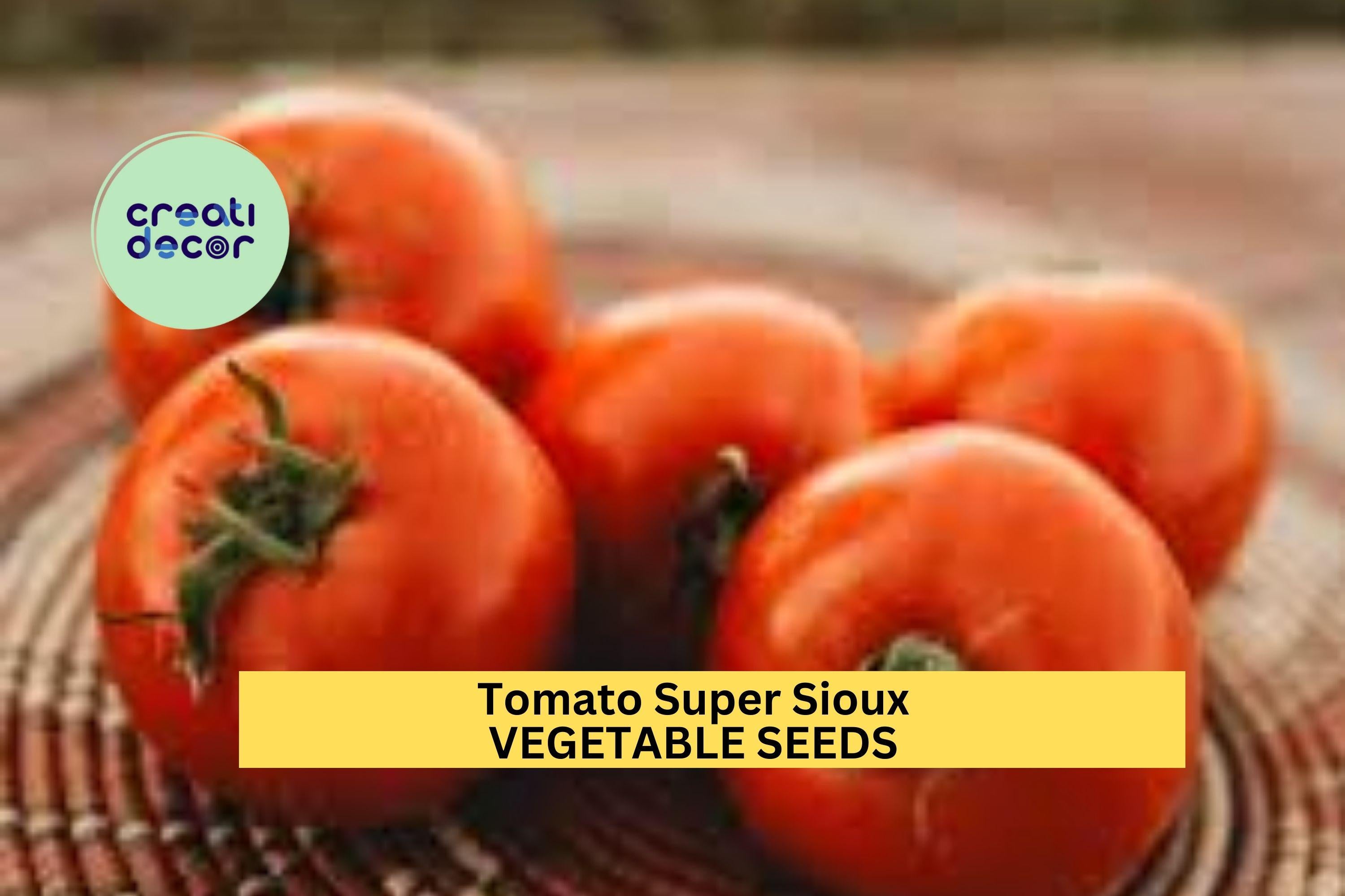 3pcs of 100mg Super Sioux Tomato Seeds – Heat‑Tolerant Heirloom for Hot Climates, Juicy Red Slicer & Container Gardens