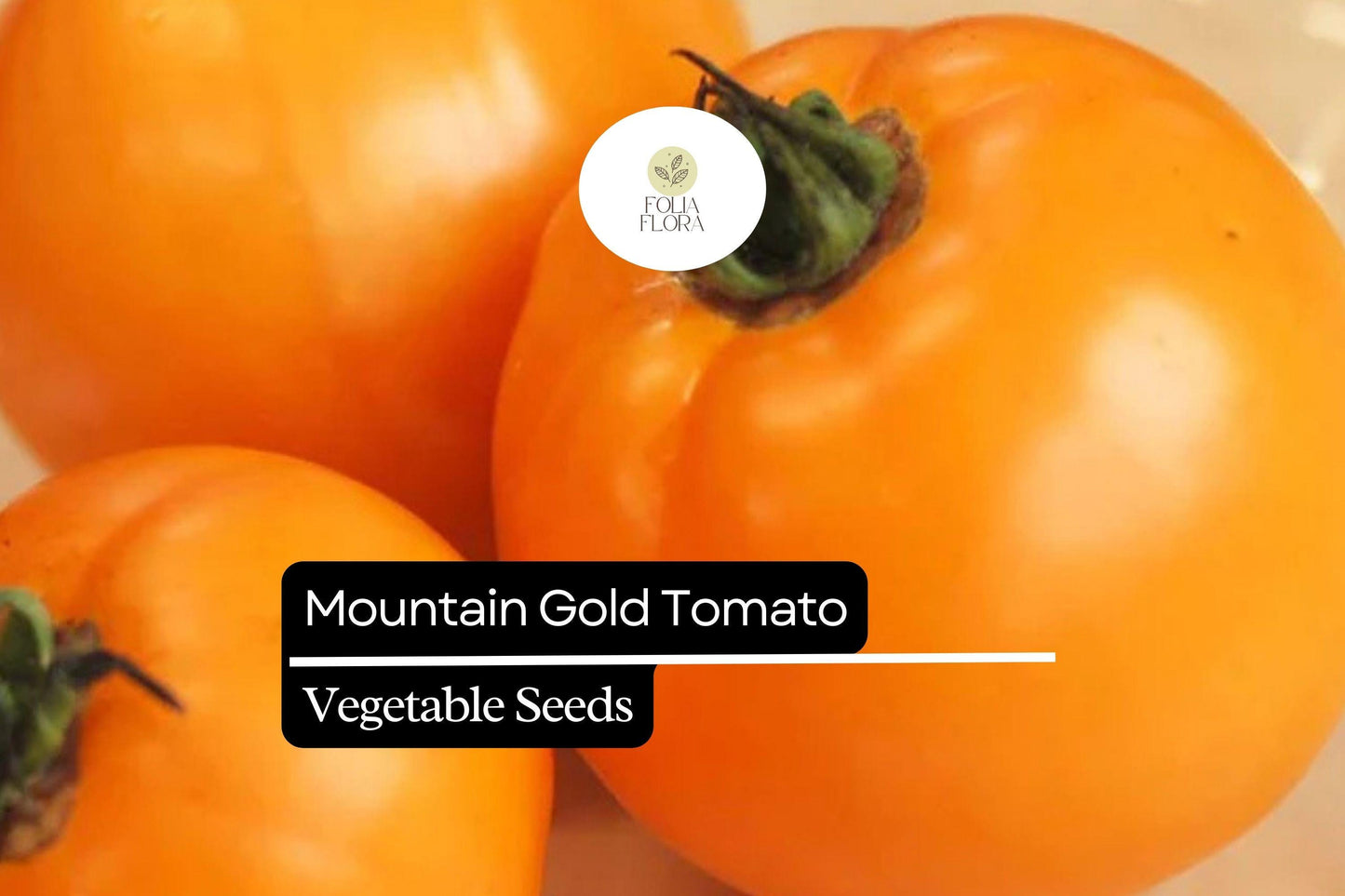 10 Seeds Mountain Gold Tomato (Solanum lycopersicum) – Vibrant Yellow Slicing Variety