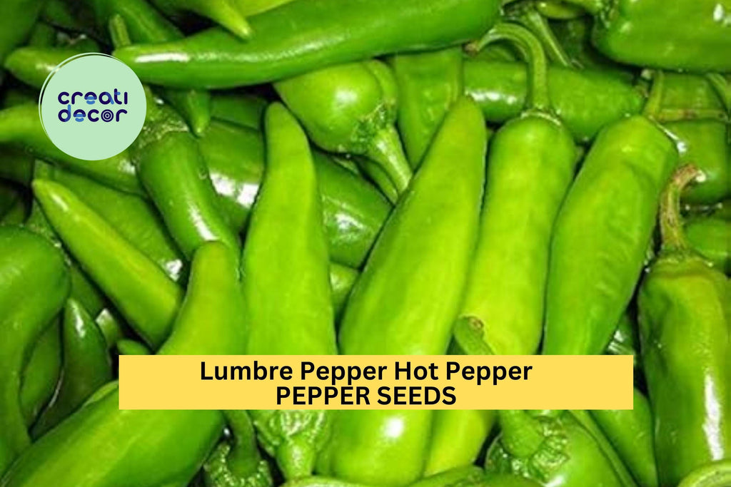 3pcs of 250mg Lumbre Hot Pepper Seeds – Spicy Mexican Chili Seeds for Planting – High-Yield, Fast-Growing Heirloom Variety