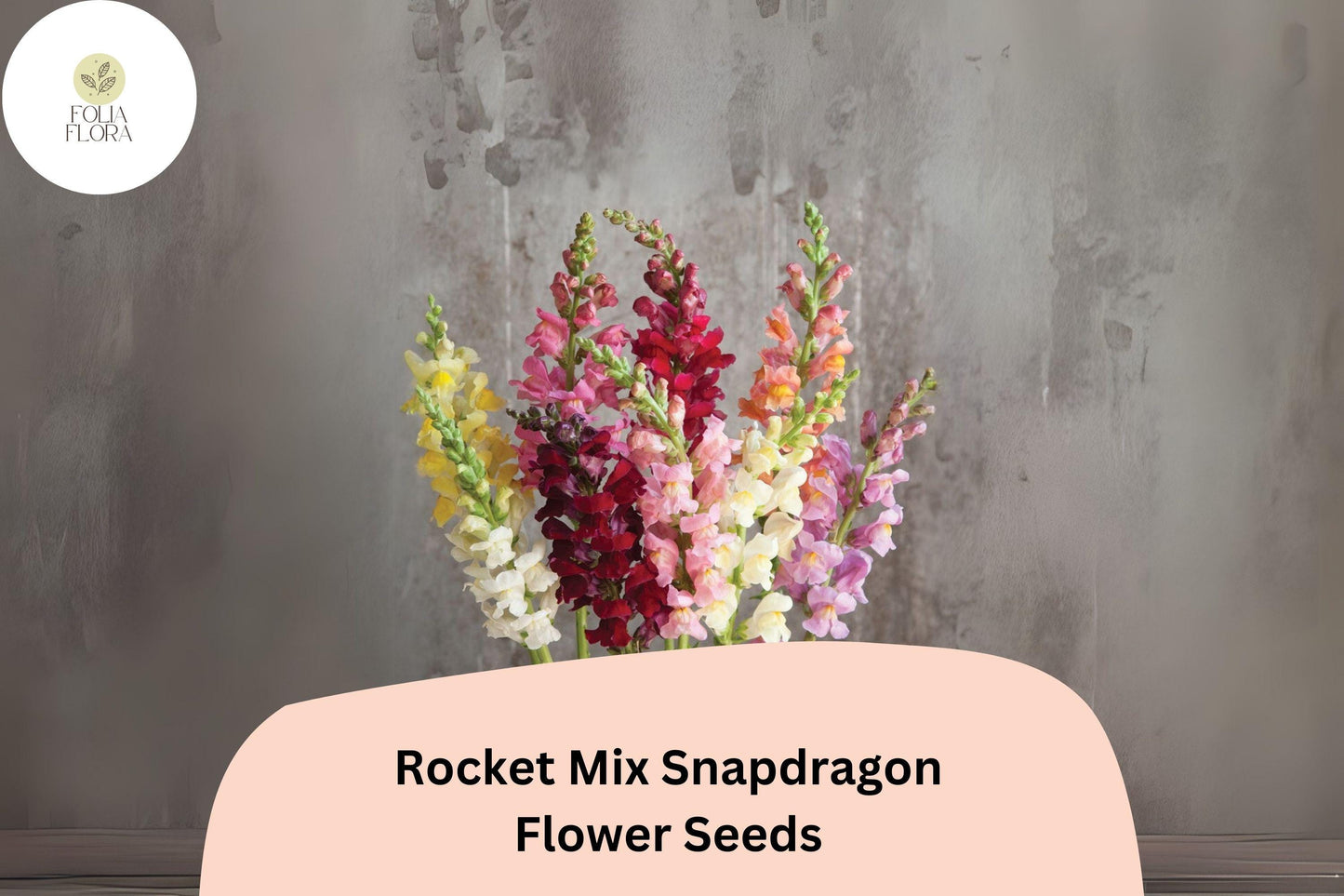 Antirrhinum majus Rocket Mix Snapdragon Seeds – 1000+ Multicolor Blooms for Vibrant Garden & Cut Flowers
