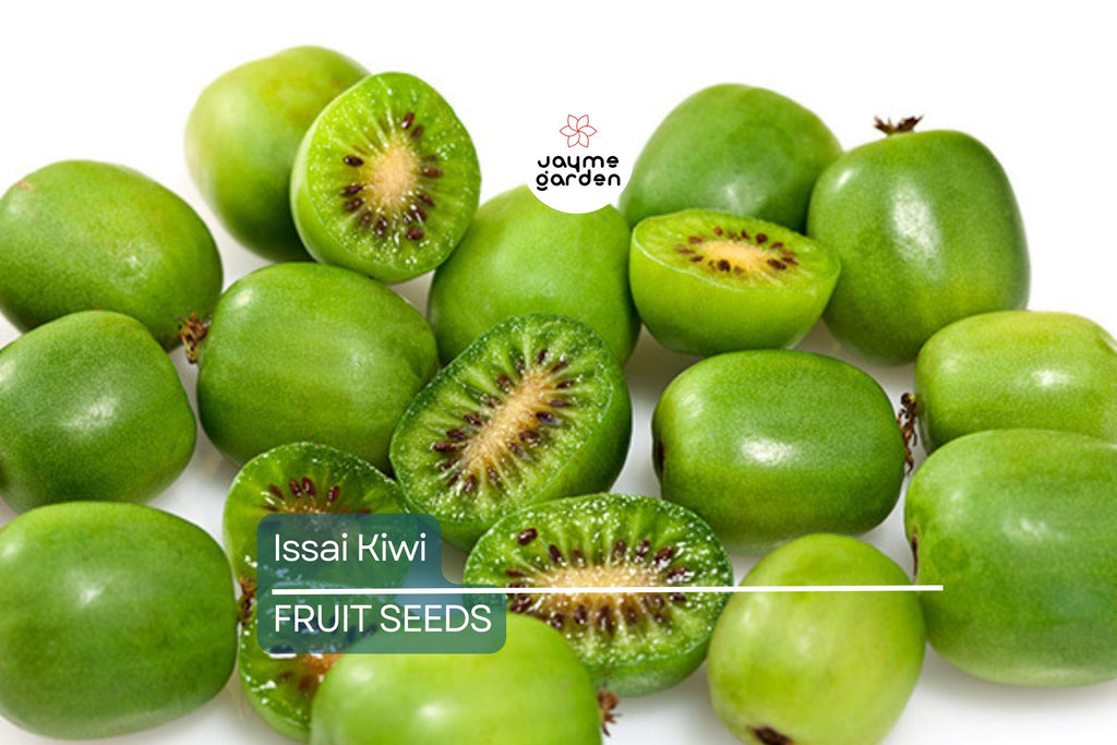 50 Issai Kiwi Seeds (Actinidia arguta) – Cold Hardy Arctic Grape Kiwi, Fast-Growing Superfruit Vine