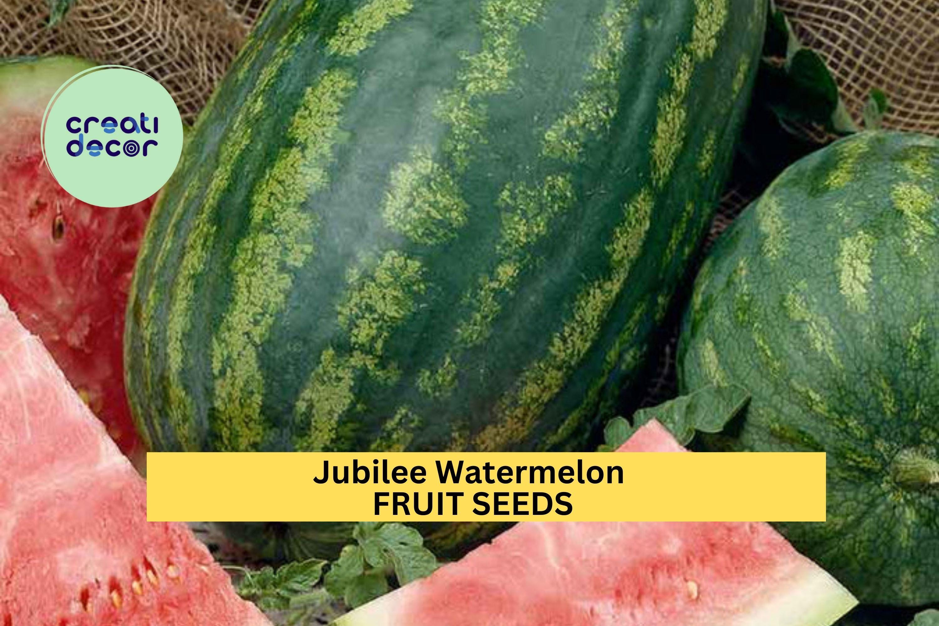 3pcs of 1g Jubilee Watermelon Seeds – Classic Sweet Red Flesh Melon, Long Fruits, Heat-Tolerant, Great for Summer Gardens Seeds for Planting